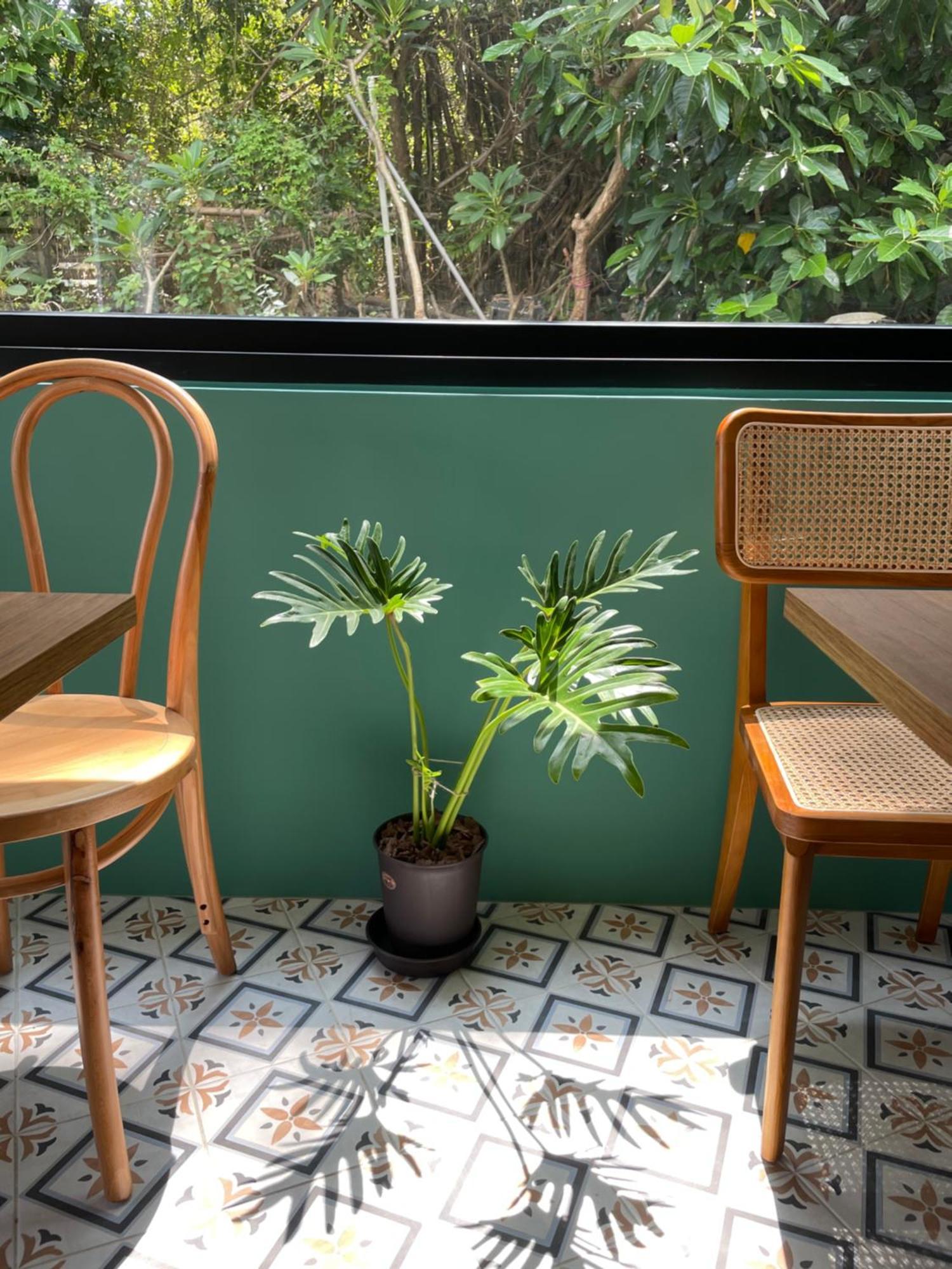 Lixia Hostel Xiaoliuqiu Buitenkant foto